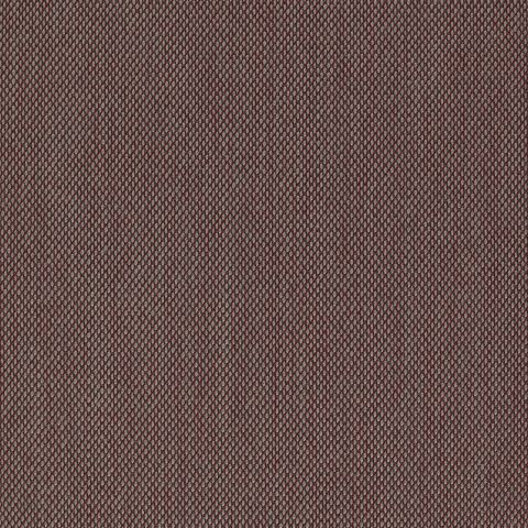 Steelcut Trio 3 645