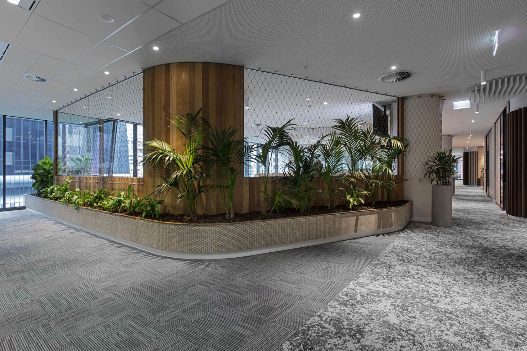 Worksafe office fitout melbourne partition wall timber and plants 