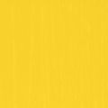 Paint Colza Yellow