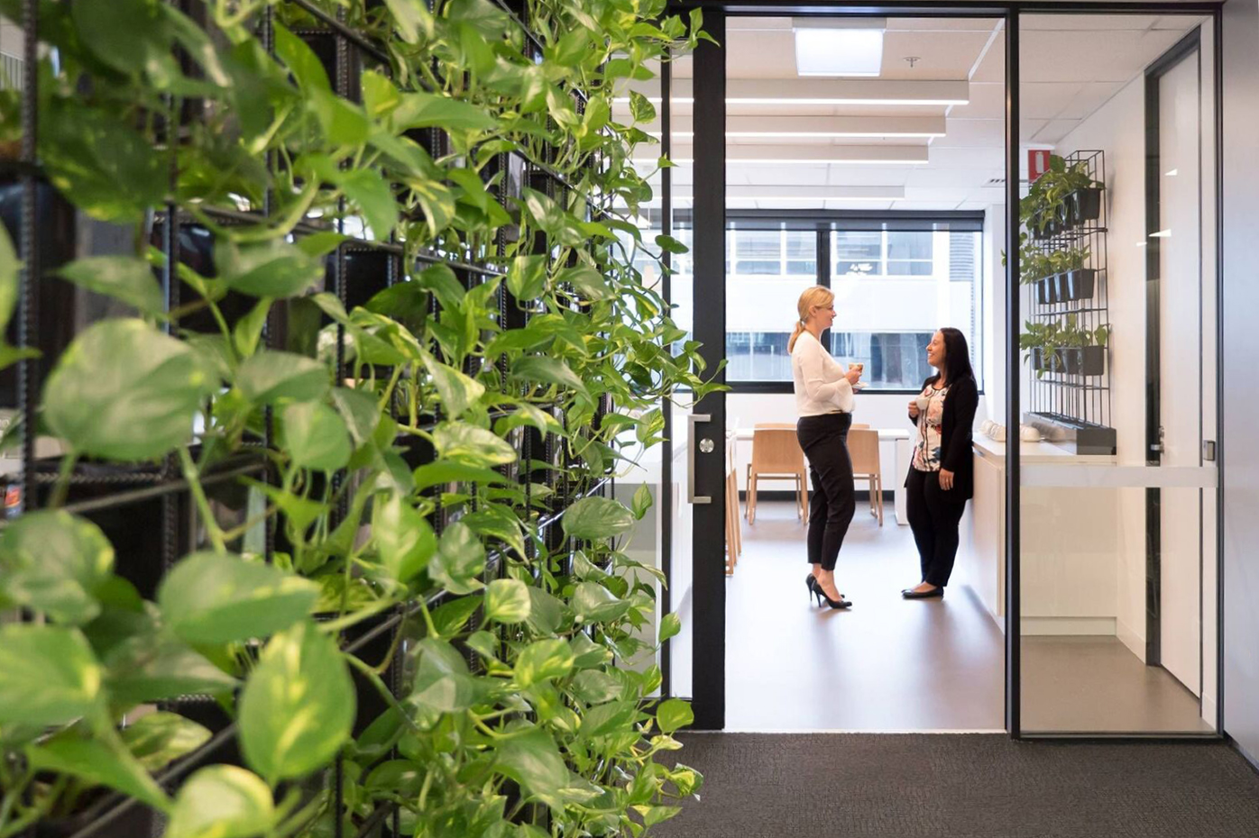 The Department of Environment, Water and Natural Resources (DEWNR) waymouth building refurbishment green wall