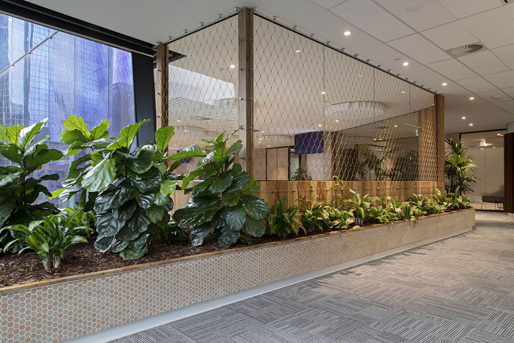 worksafe melbourne office fitout garden biophilia