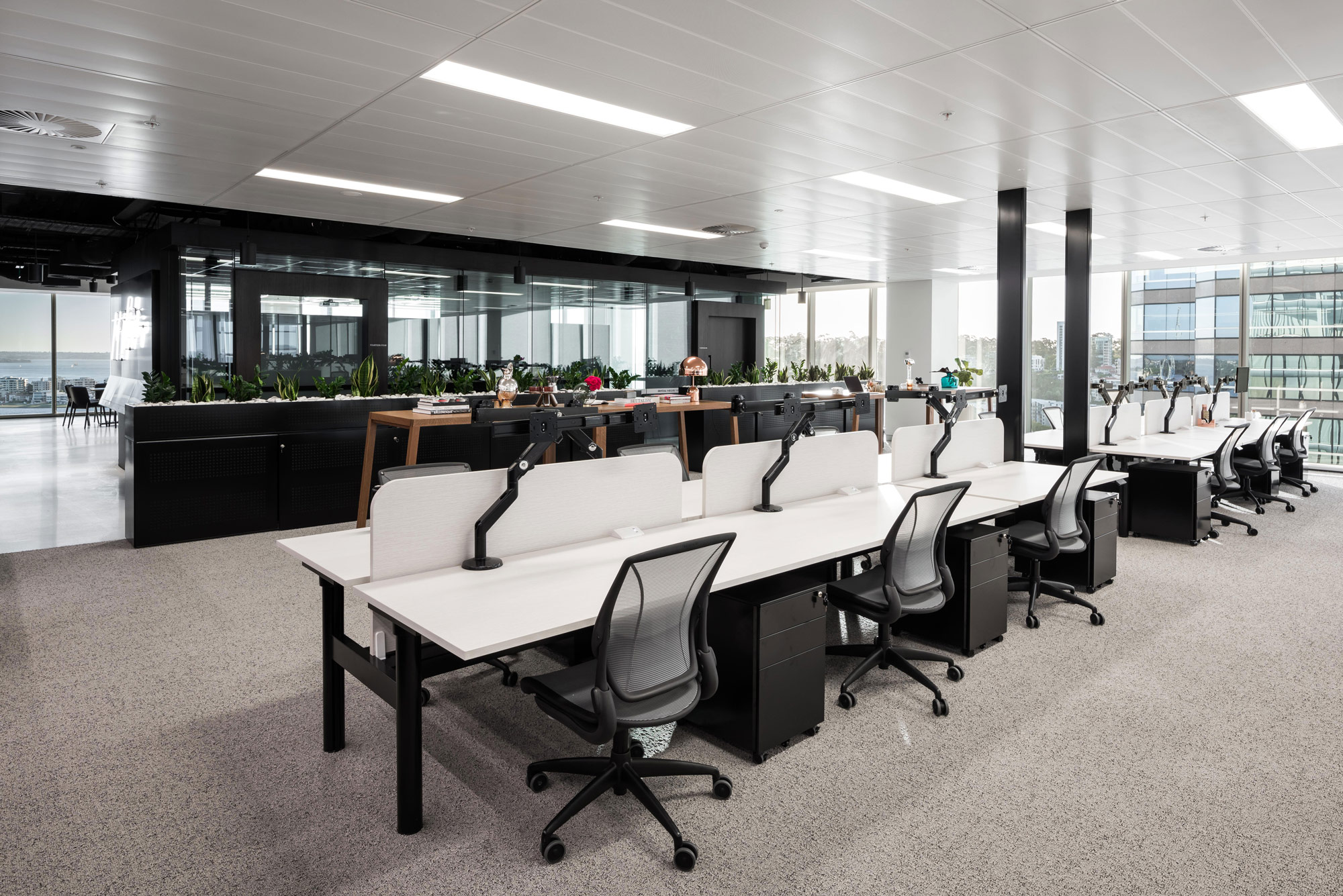 dentsu aegis network perth office fitout schiavello workstations and chairs