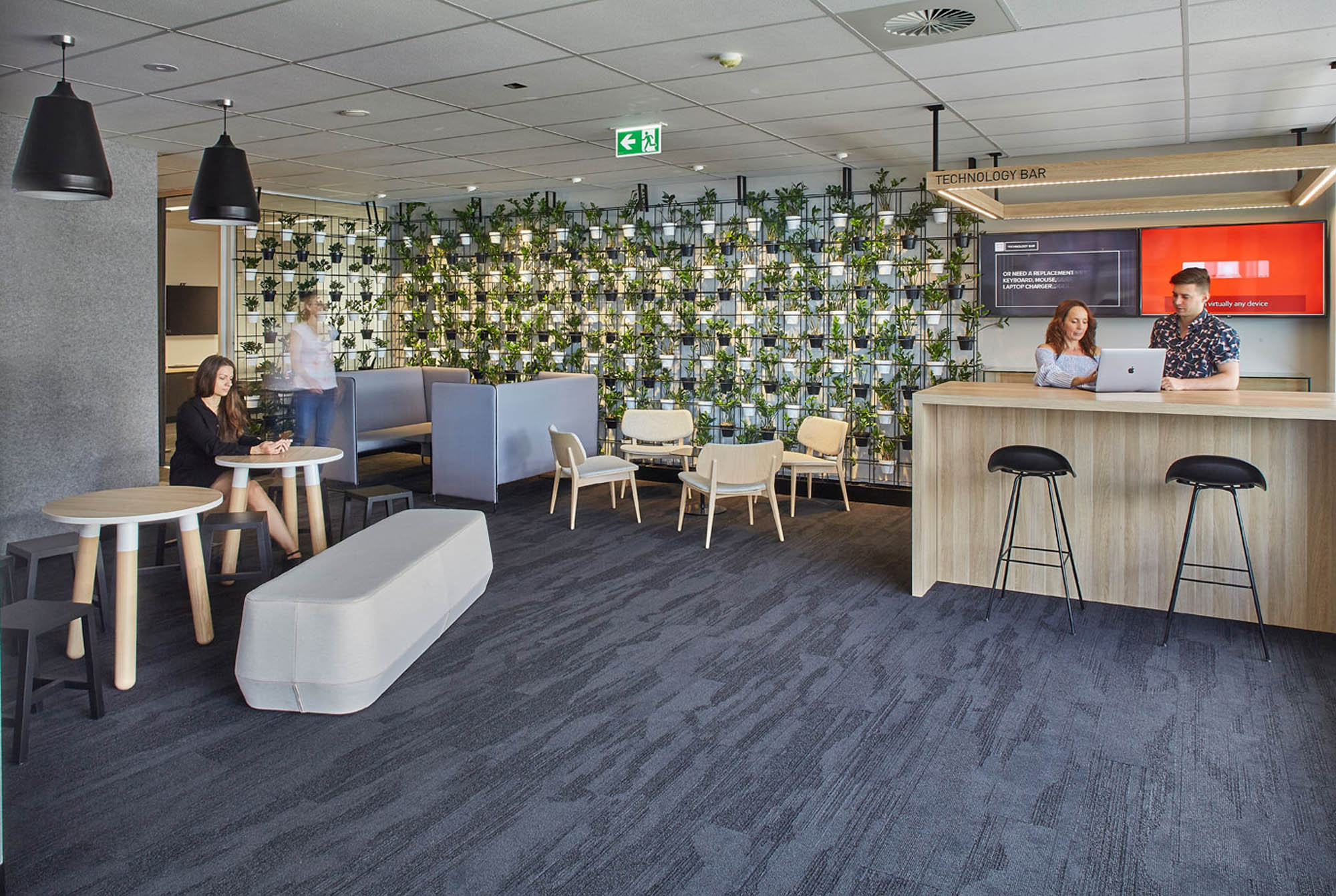 dentsu aegis sydney office fitout garden wall