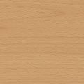 Beech Colourlab