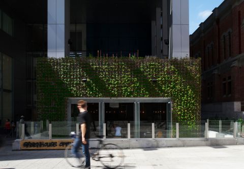 Has greenwashing stagnated sustainable design? The importance of releasing its grasp on our industry. 