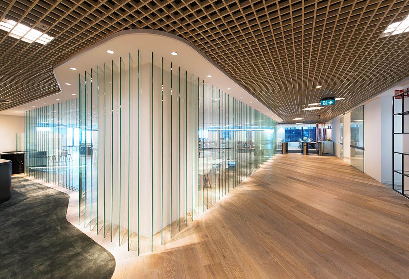 mlc office fitout glass wall