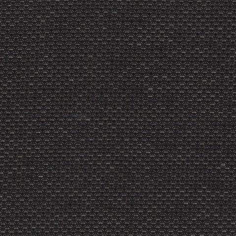 Banksia Charcoal