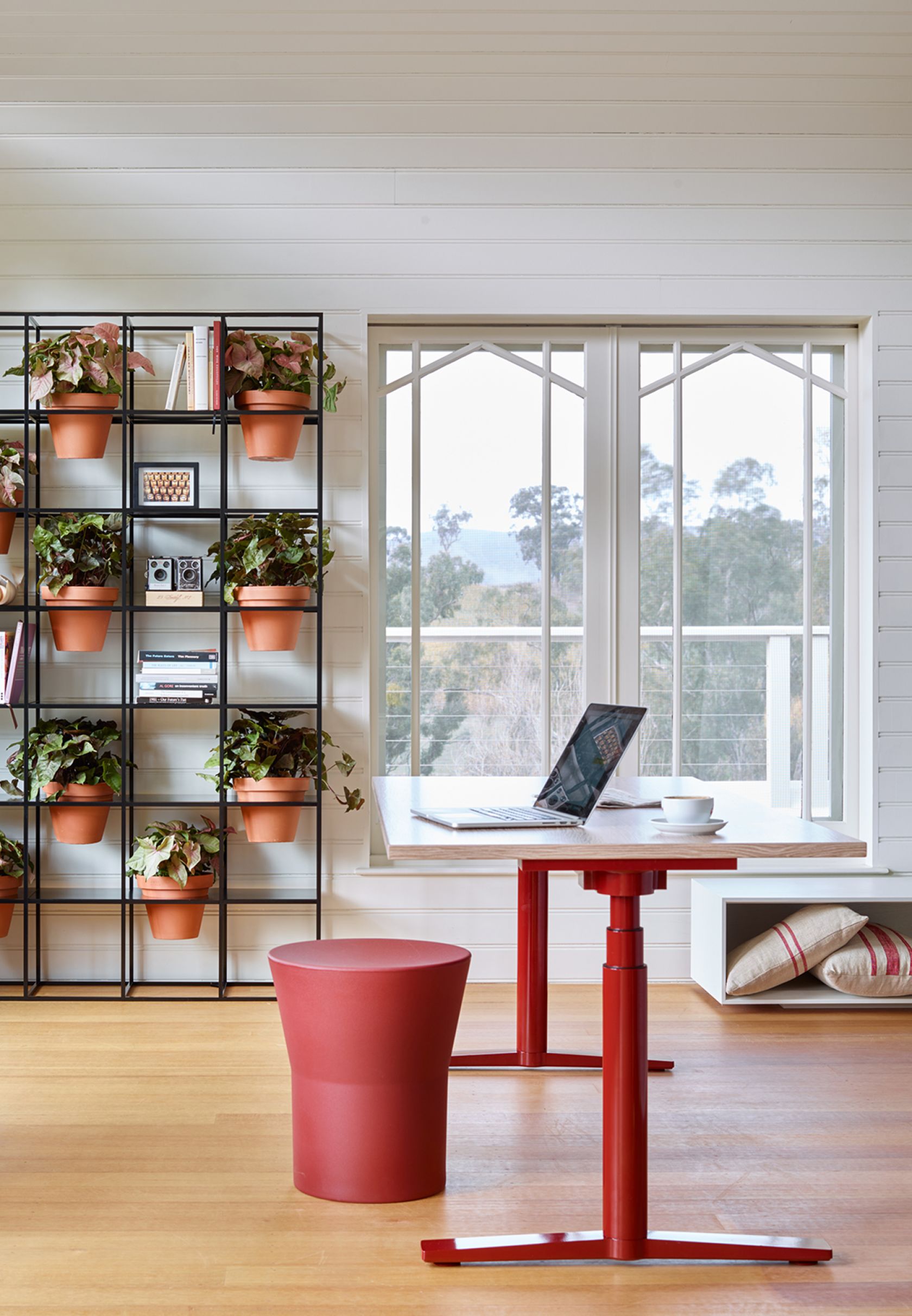 Tom Stool, Krossi and Vertical Garden Portrait