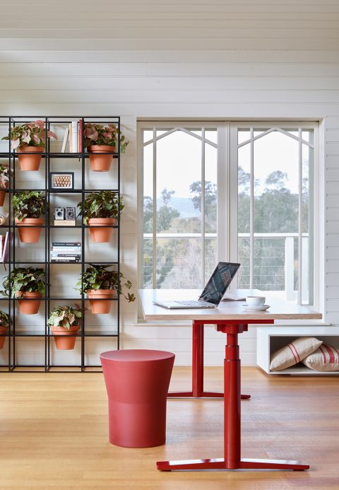 Tom Stool, Krossi and Vertical Garden