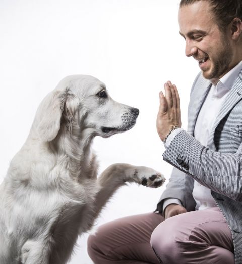 christopher-and-luna-sydney-office-dog.jpg