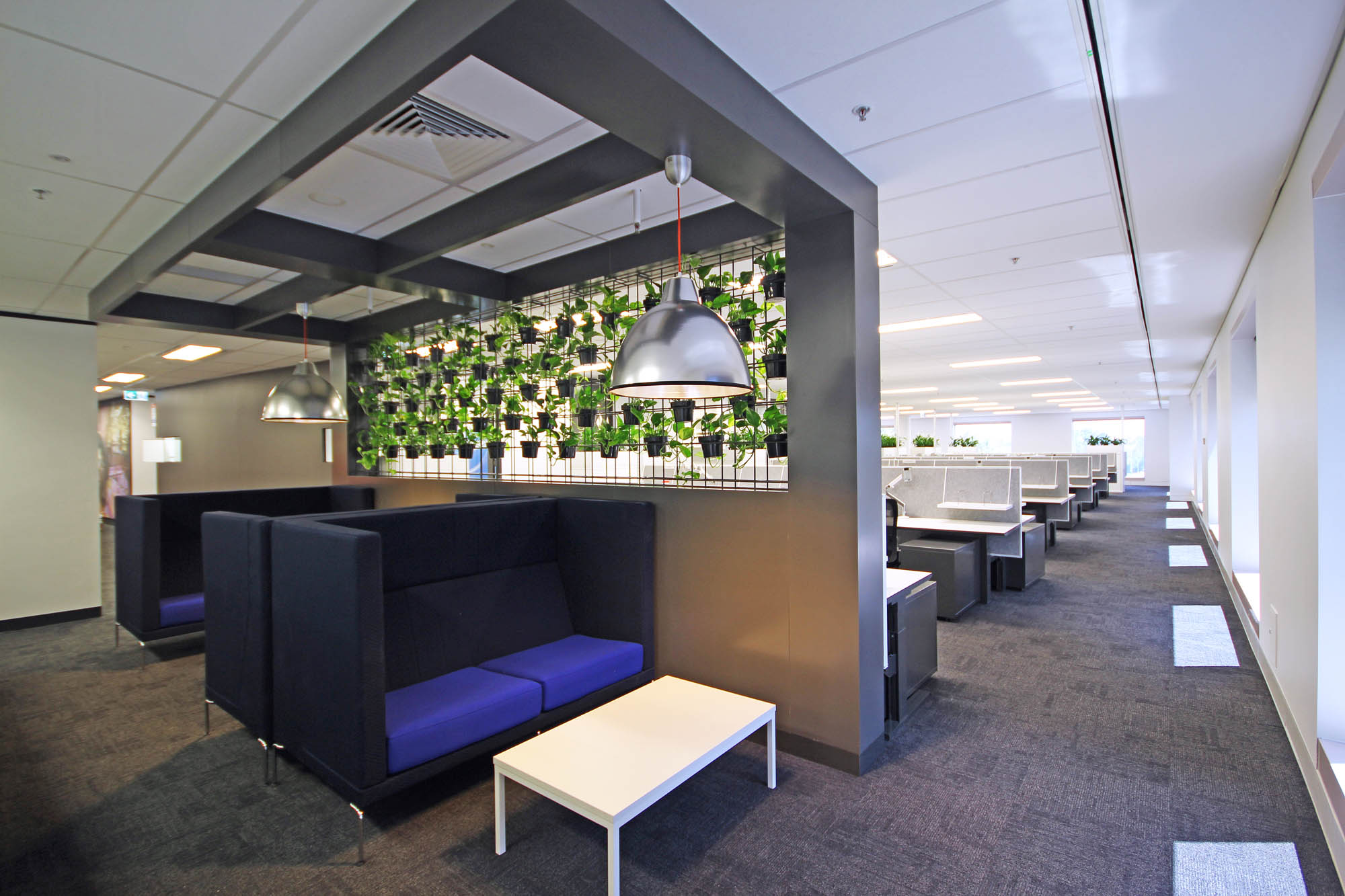 transfield melbourne fitout couch