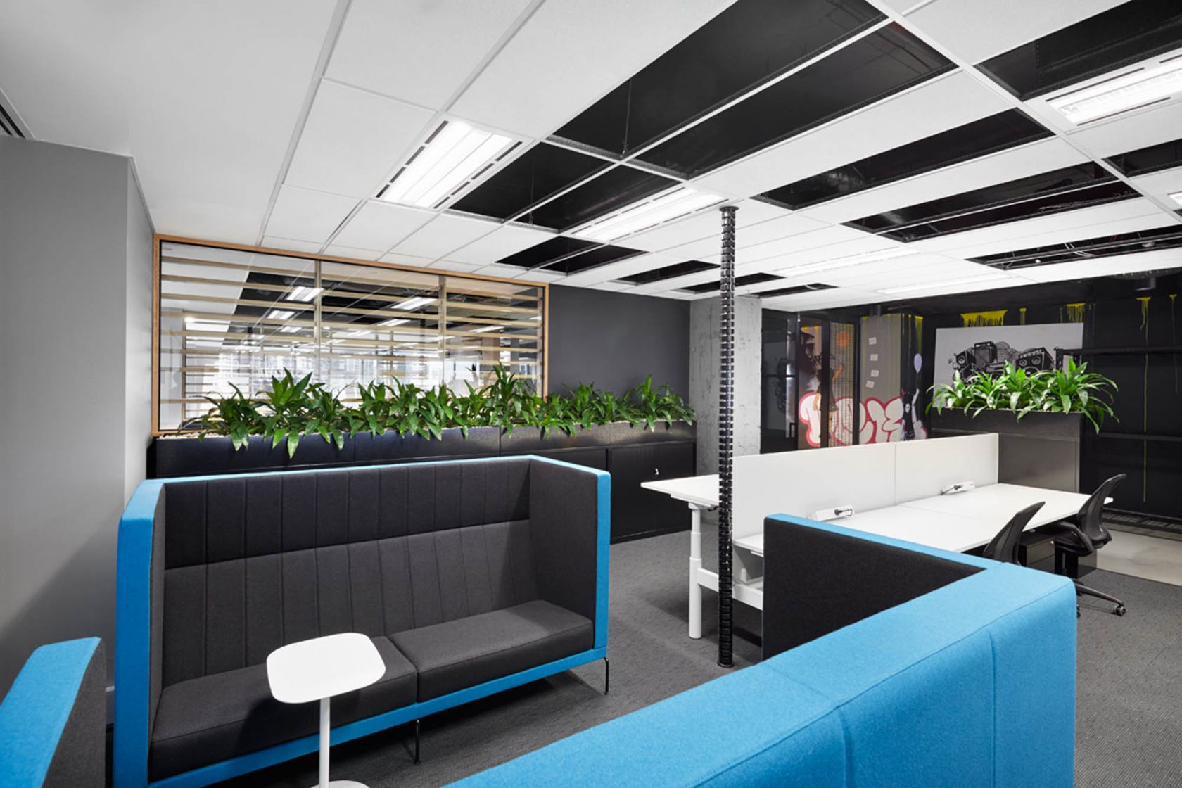 william street melbourne workplace fitout focus collaboration plants partition desk 