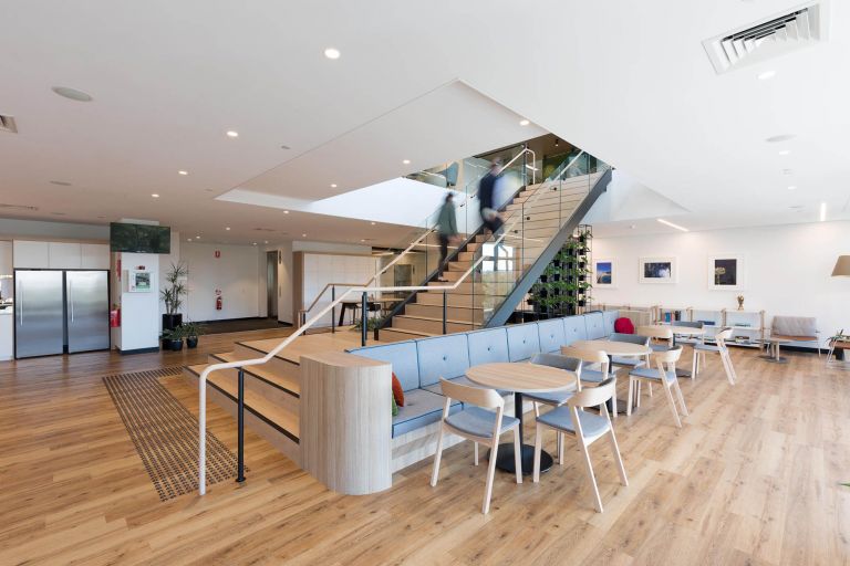 suez office light timber staircase 