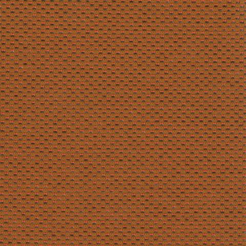 Banksia Clay