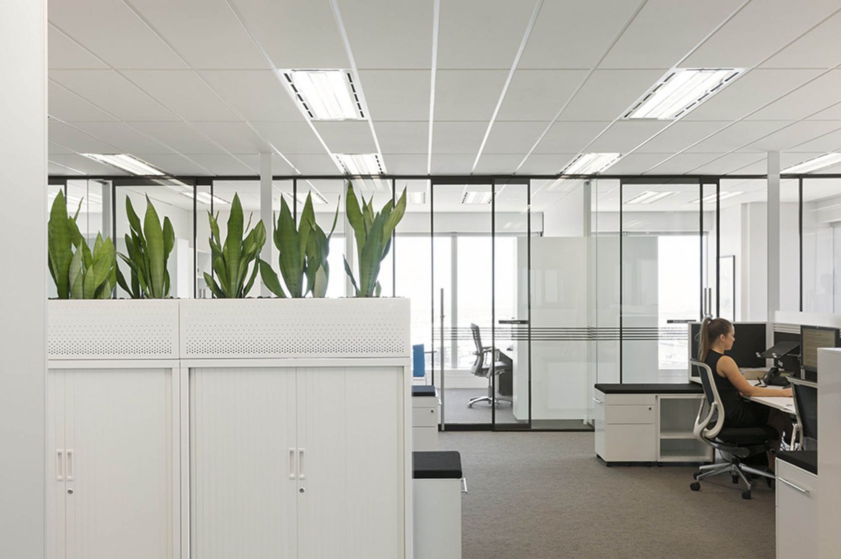 ferrier hodgson melbourne office fitout workspace 