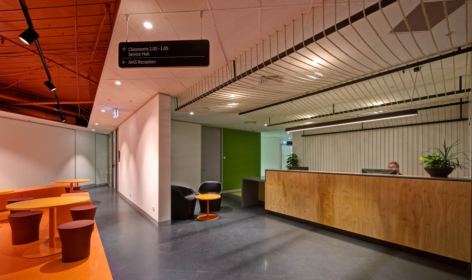 study group melbourne education reception feature ceiling timber fitout