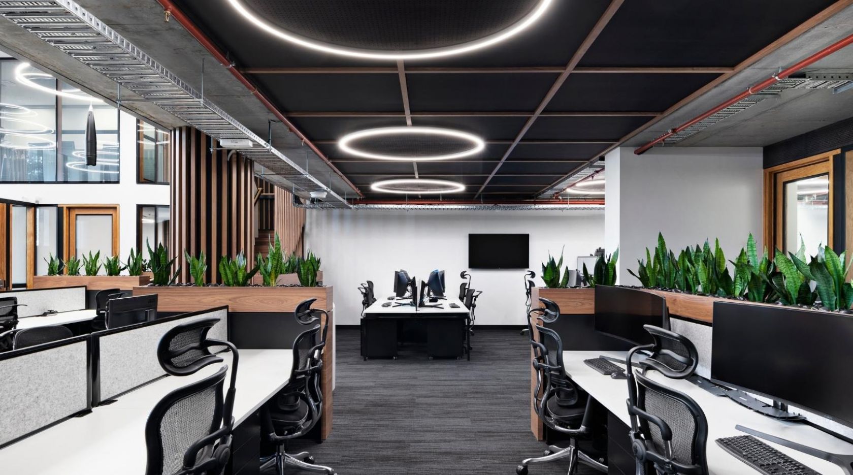 schiavello construction southbank melbourne nioa office fitout lighting