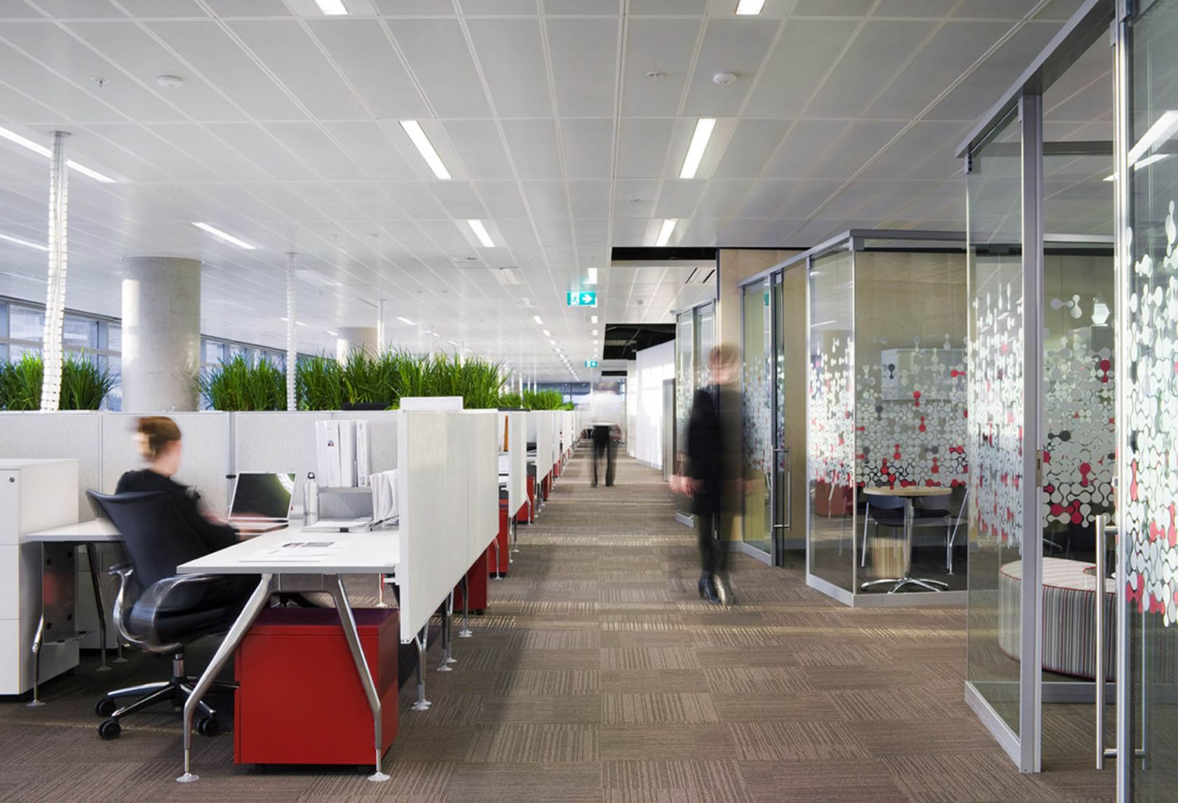 fujitsu head office melbourne office fitout corridor