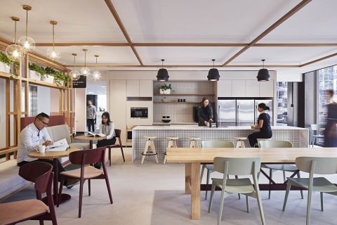 Offices can be the new people-centred wellness hubs