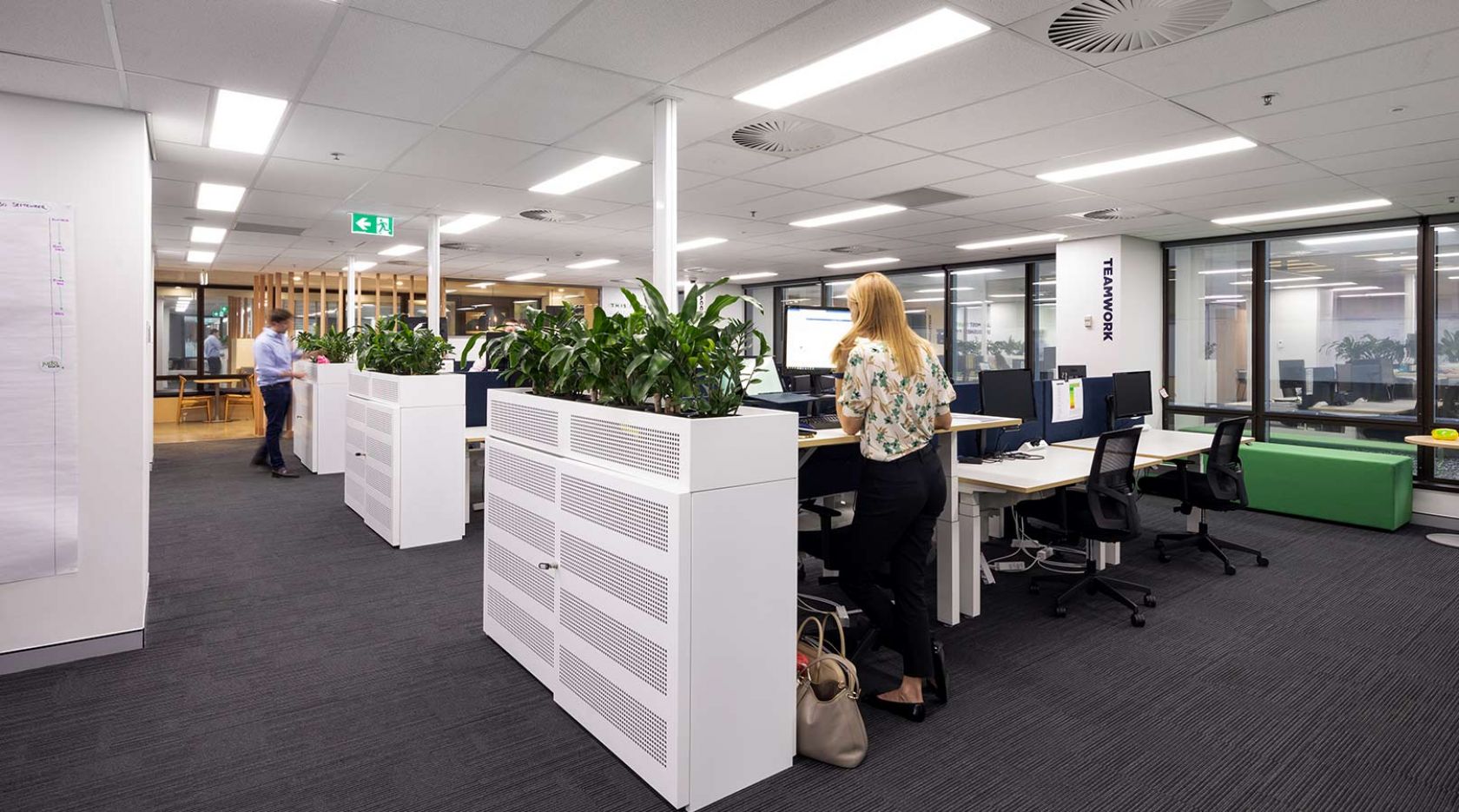 schiavello construction brisbane judo bank office fitout office