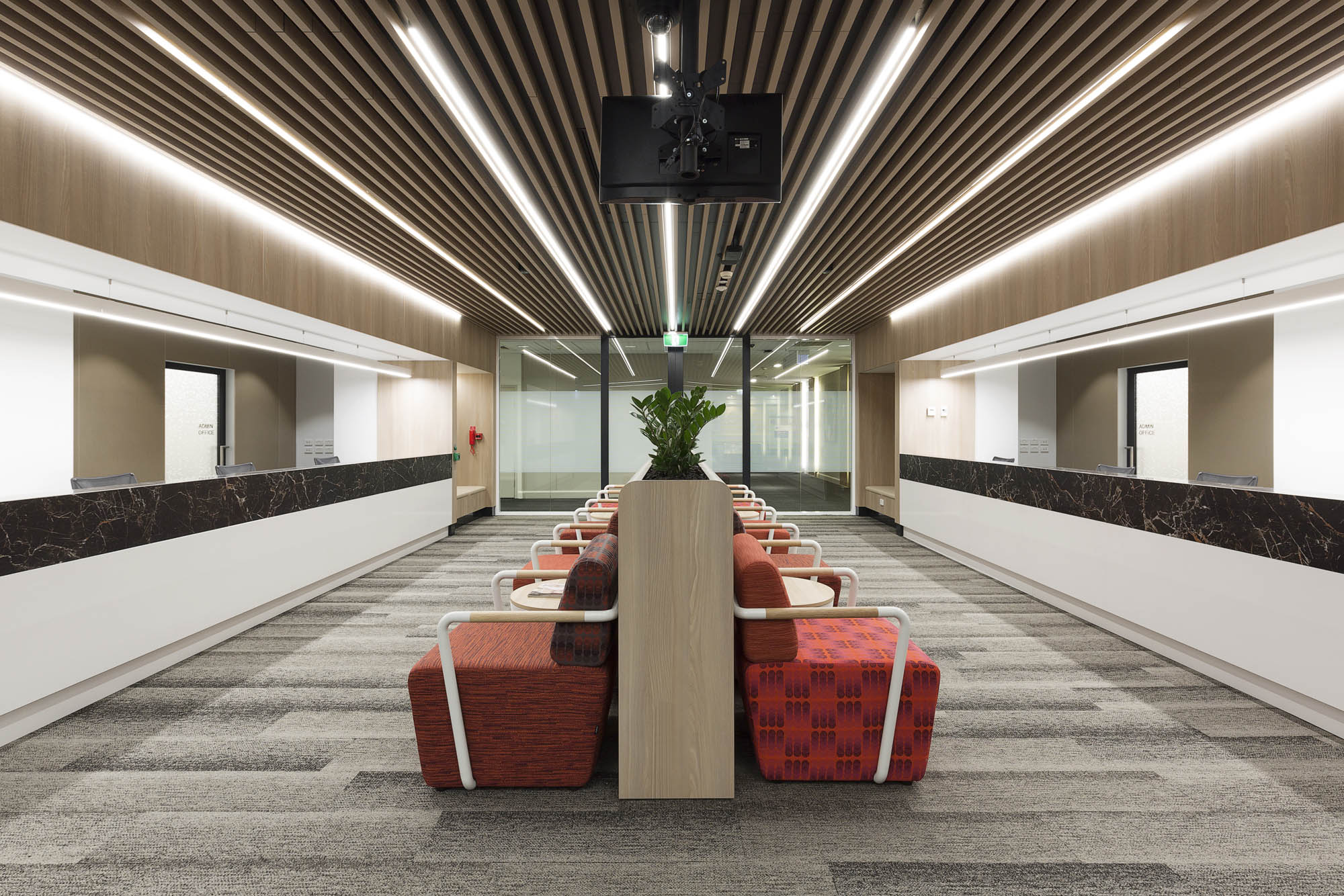 Macquarie Clinic University construction fitout health aged care reception lobby seating timber panelling ceiling recessed lighting