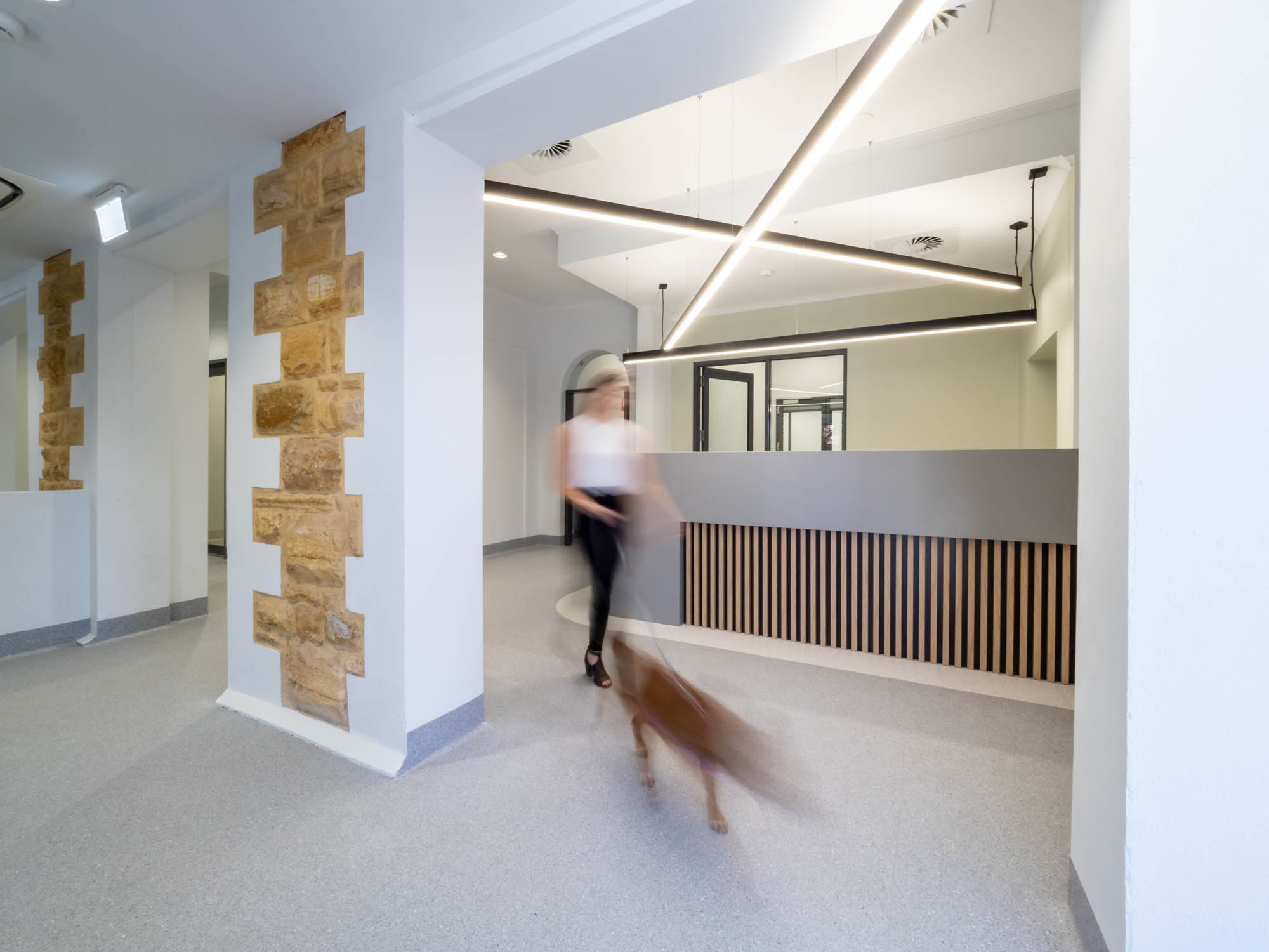 Payneham Veterinary Centre clinic healthcare animal pet construction new build heritage refurbishment adaptive reuse sandstone reception exposed bricks feature timber panelling pendant lighting 