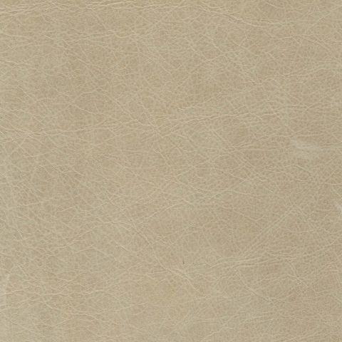 Heirloom Harvest Moon