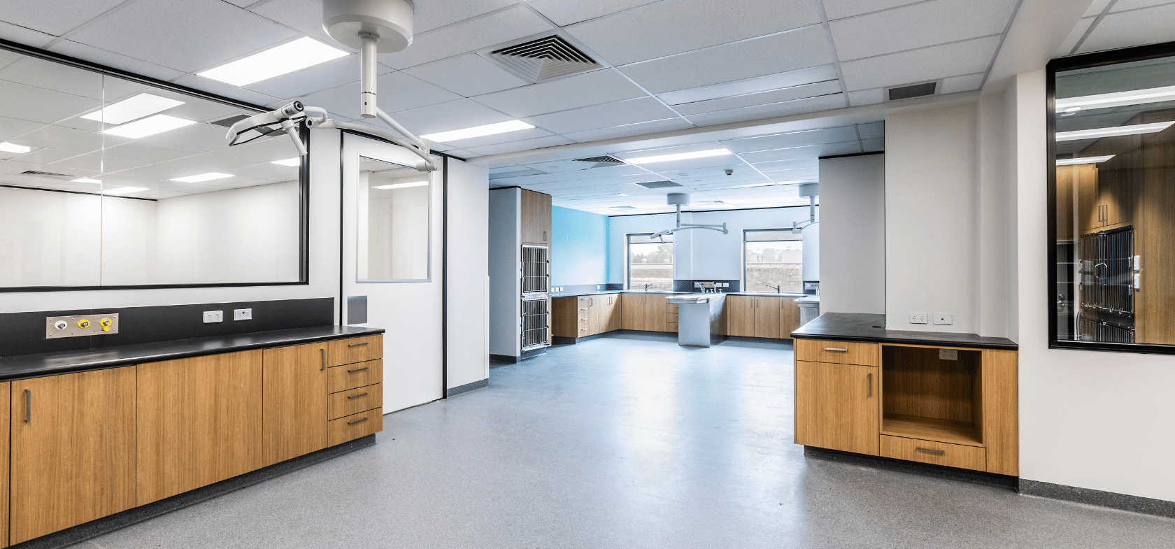 schiavello construction sydney north shore veterinary clinic fitout header room
