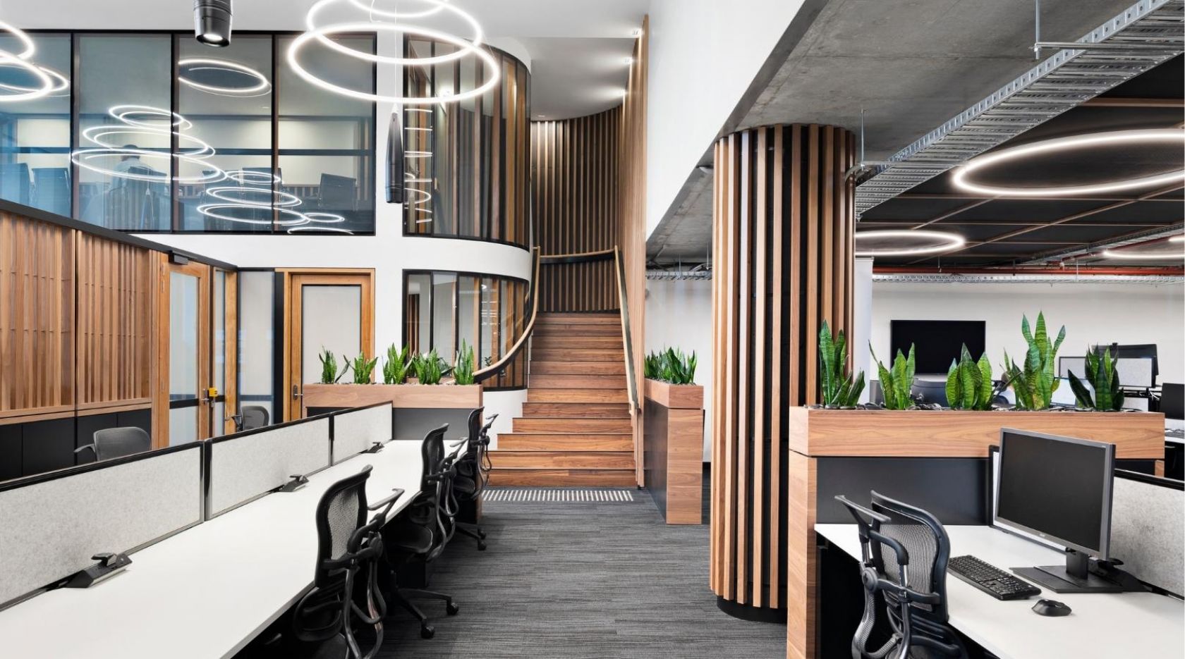 schiavello construction southbank melbourne nioa office fitout workspace