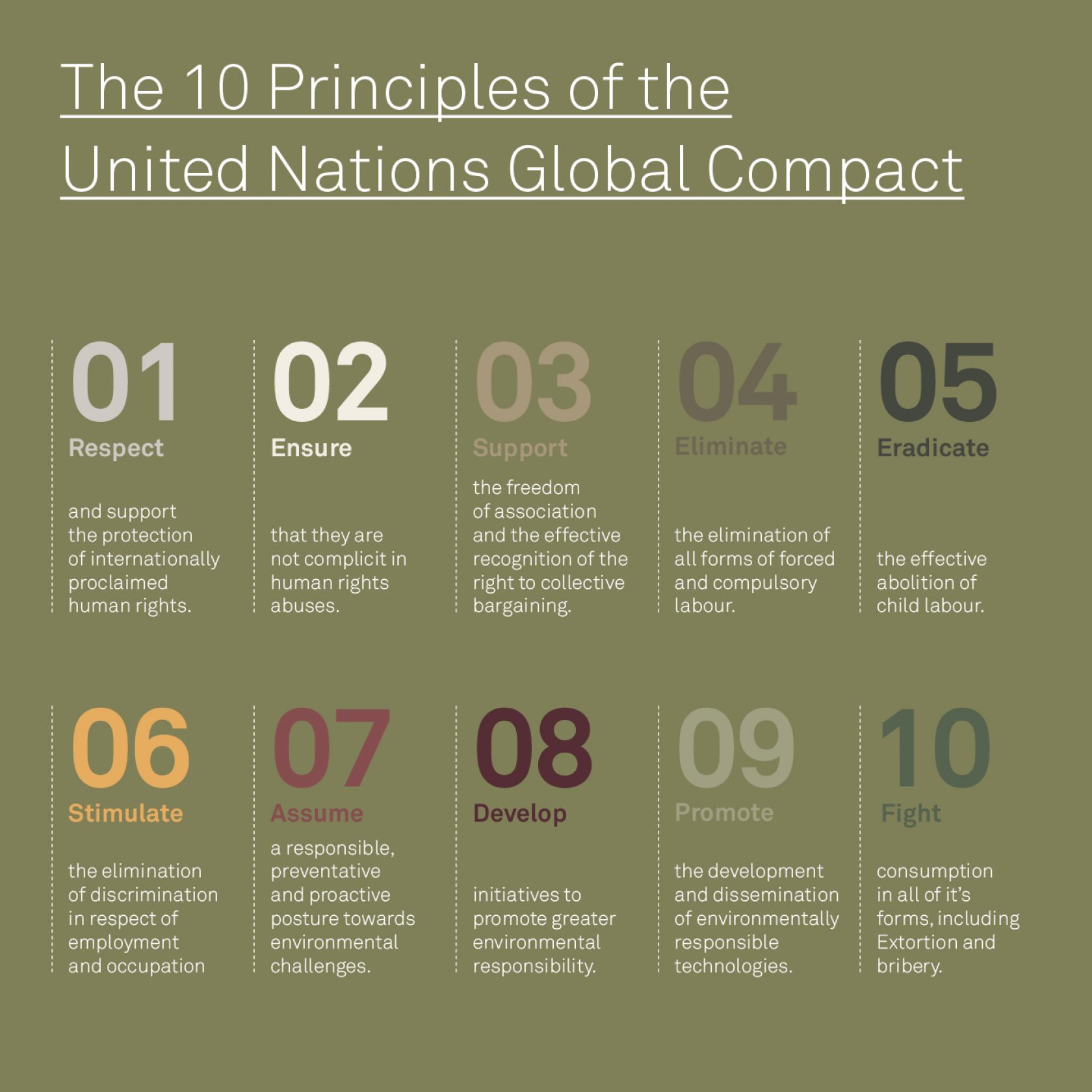 10-UN-principles.jpg