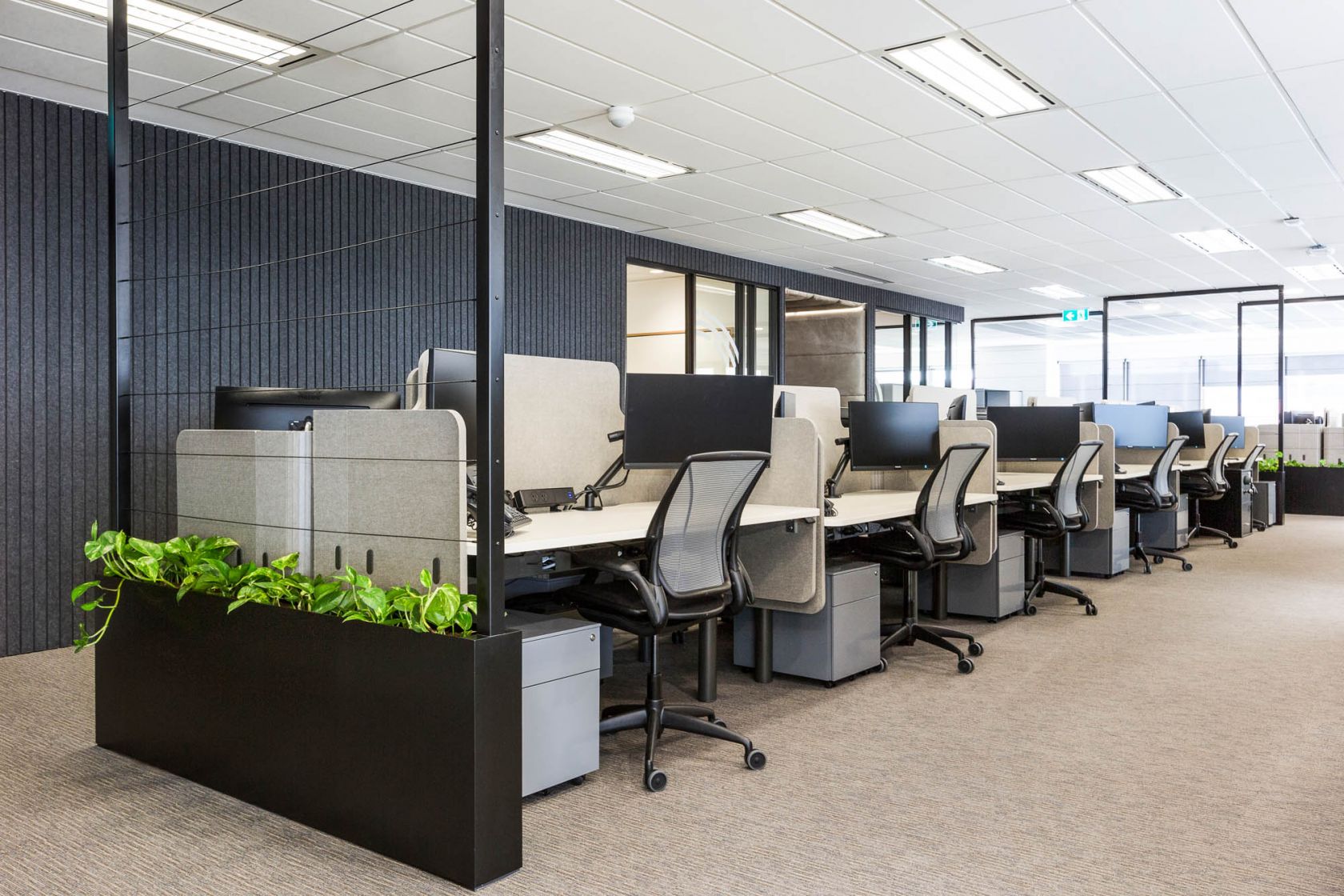 Schiavello workstations and office chairs in government office