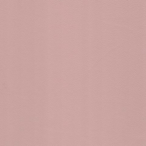 Medici Blush