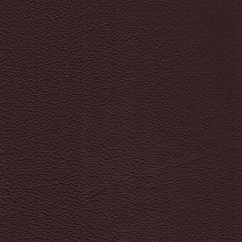 Medici Shiraz