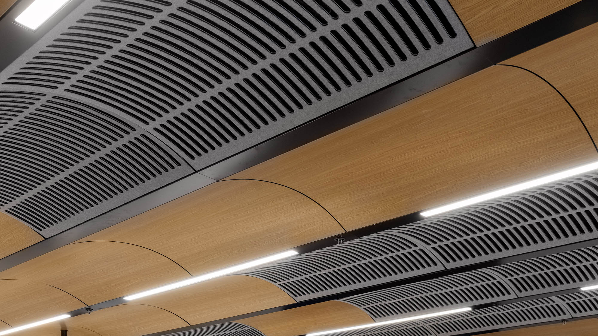 University of Melbourne carlton custom timber look acoustic ceiling