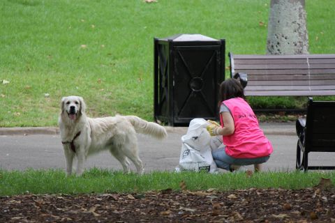 6-schiavello-nsw-dog-and-staff-member-clean-up-australia-day.jpg