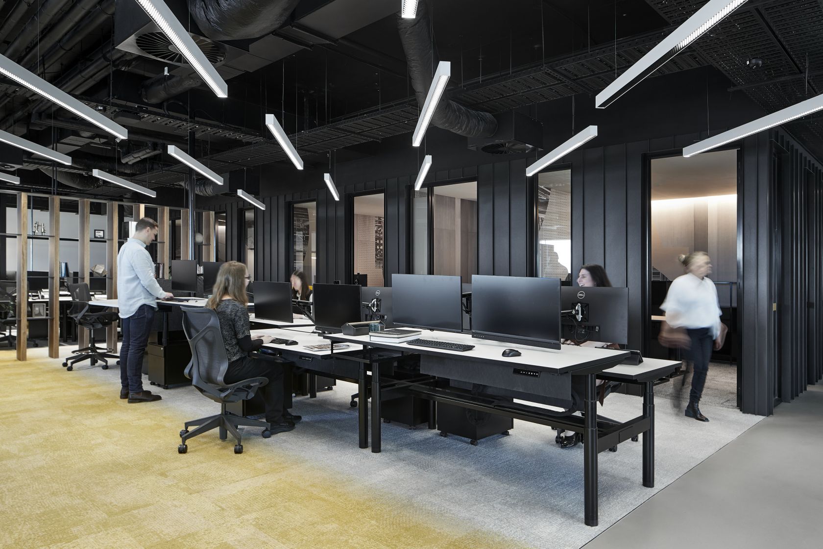 Kane Construction 3