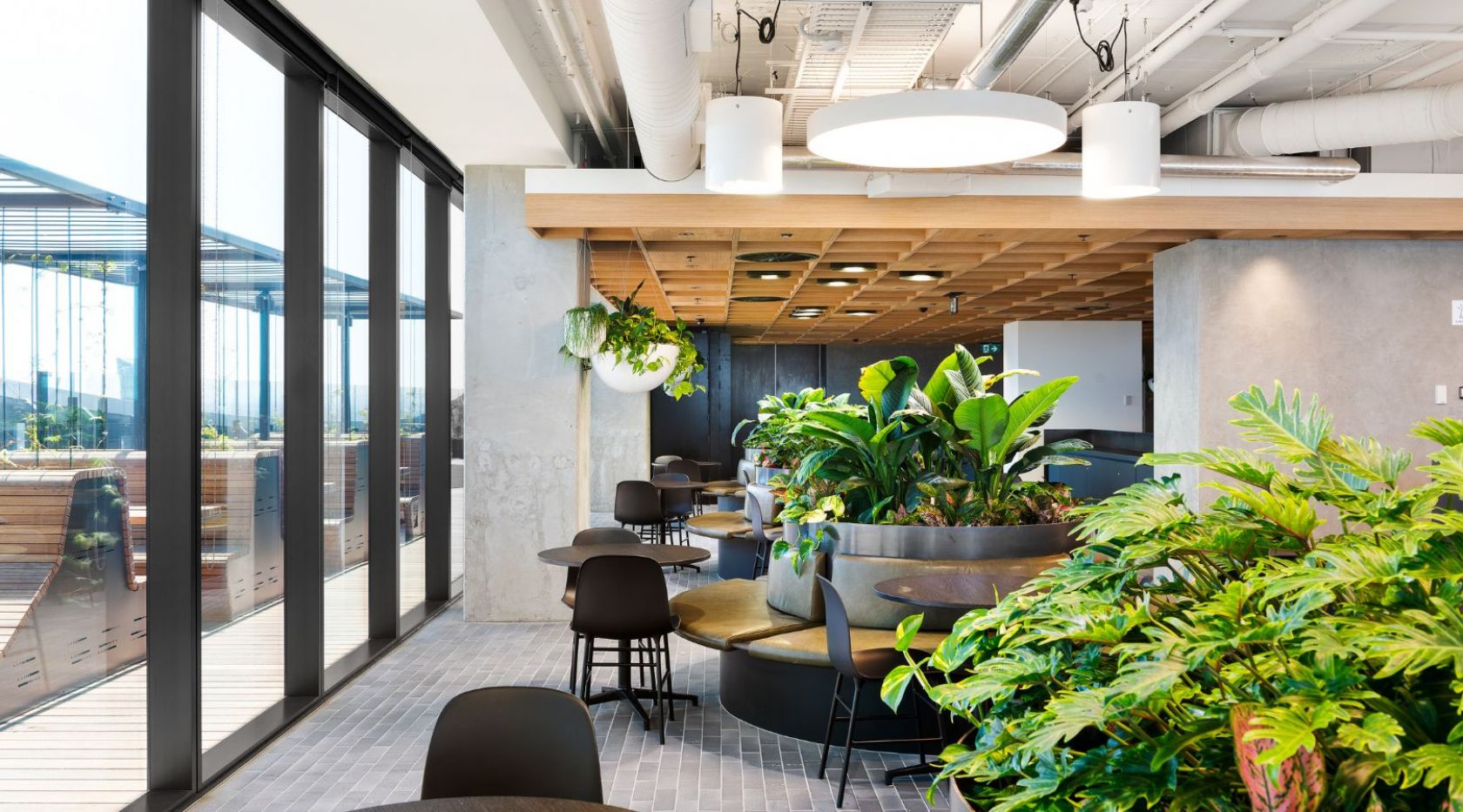 transurban 2018 melbourne victoria office fitout workplace greenery bench schiavello construction