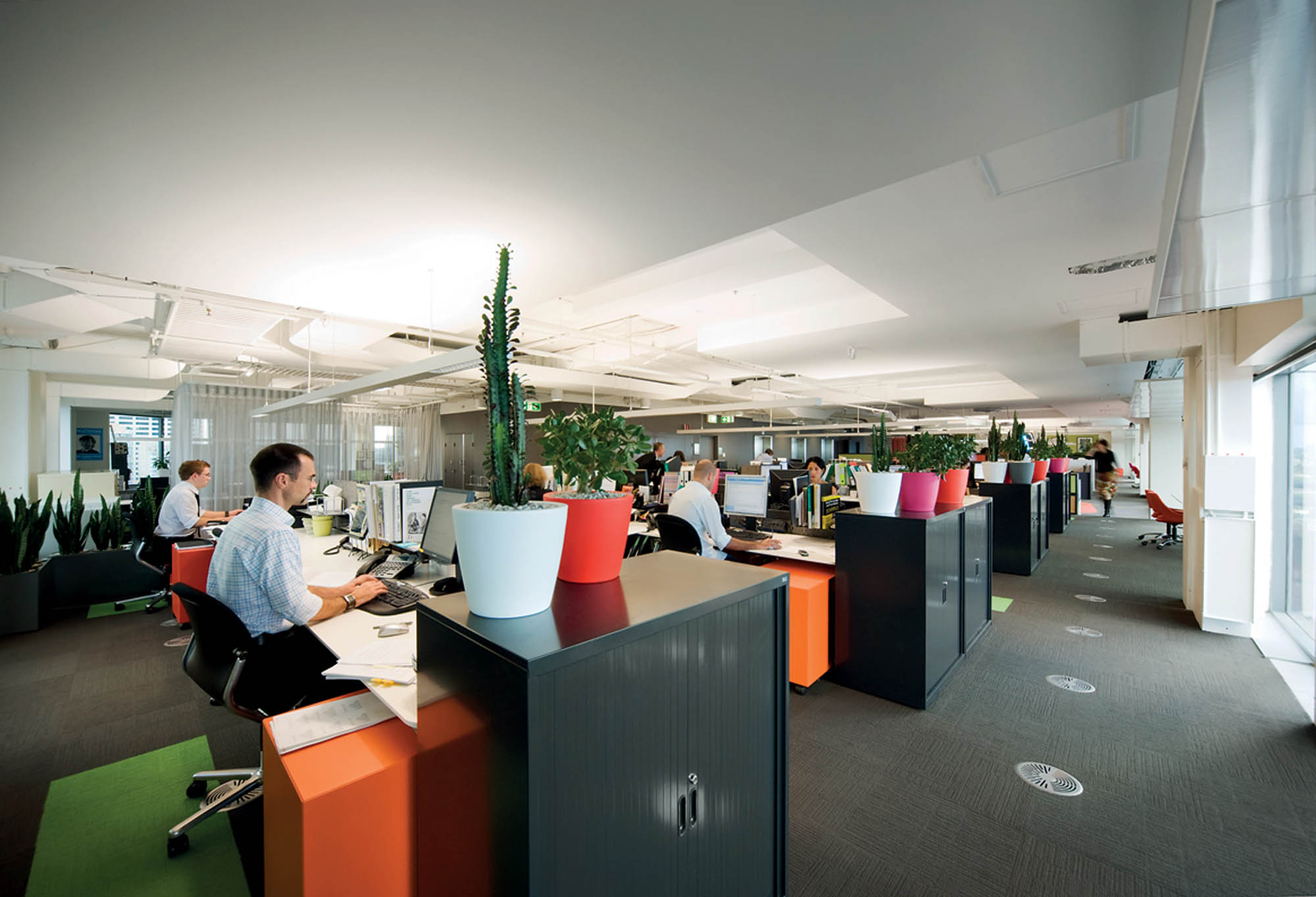 green building council sydney office fitout cabinets