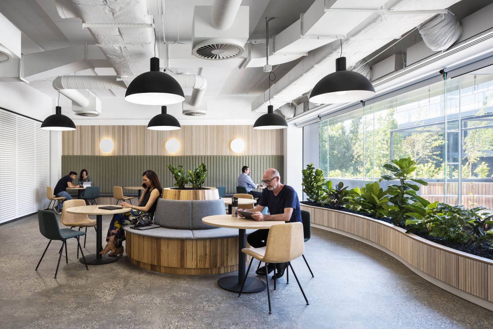 7 Eleven Melbourne commercial workplace fitout breakout timber planters window polished concrete