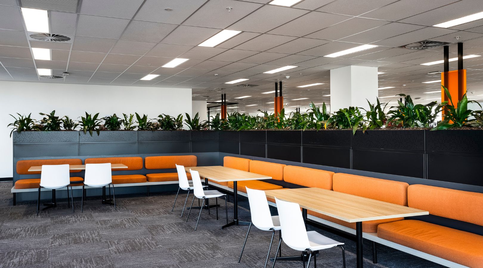 Sigma Healhcare M-City fitout orange breakout with plants