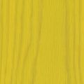 Colza Yellow