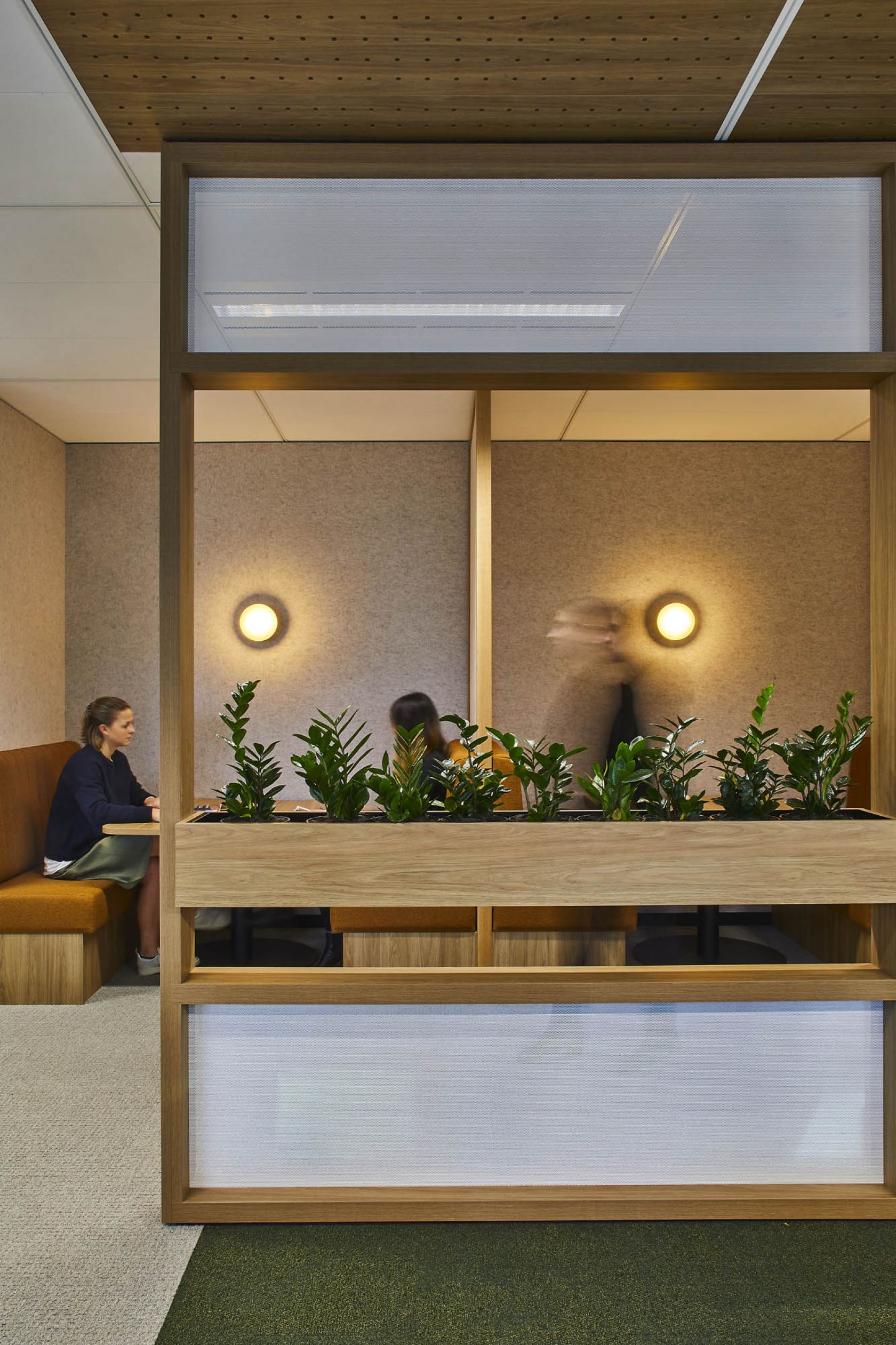 government fitout office workplace breakout booth seating plants collaboration